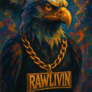No love cover art