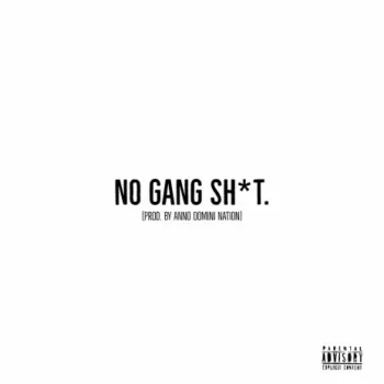 No Gang Sh_t cover art