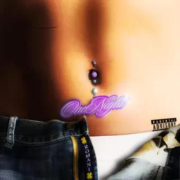 One night cover art