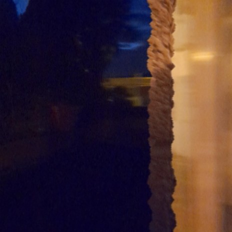 Silence of the night. cover art