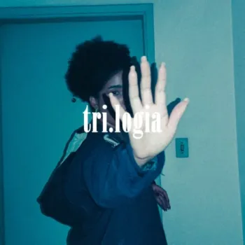 O Fim cover art
