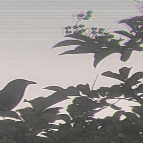 No.... Daze Off cover art