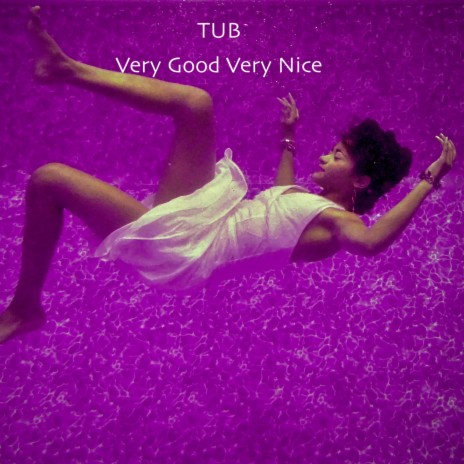 Very Good Very Nice cover art