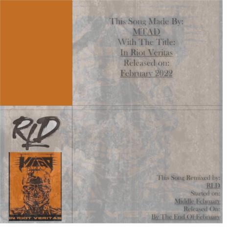 In Riot Veritas (RLD Remix) cover art