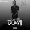 Life of Dumi