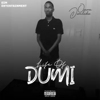Life of Dumi cover art