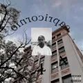 Capricornio 4:44