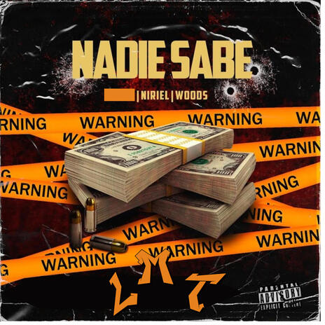 NADIE SABE ft. Woods LC cover art