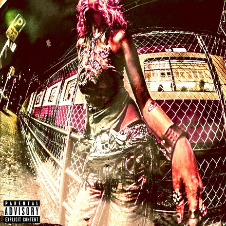LadyGaga cover art