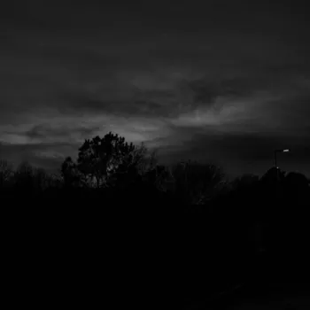 fireflies and the rain cover art