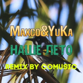 Наше лето (Remix by Comusic) ft. YuKa cover art