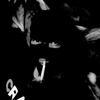 The Criminal cover art