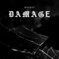 Damage