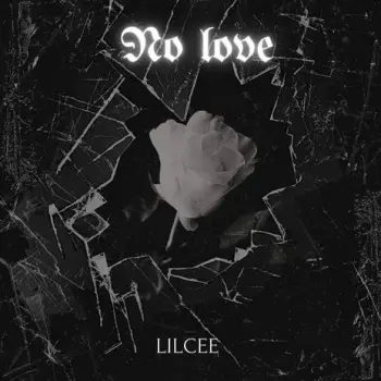 No love cover art