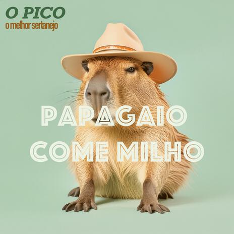 Papagaio Come Milho cover art