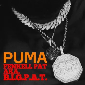 PUMA cover art