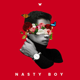 Nasty Boy