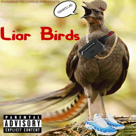 LIAR BIRDS cover art