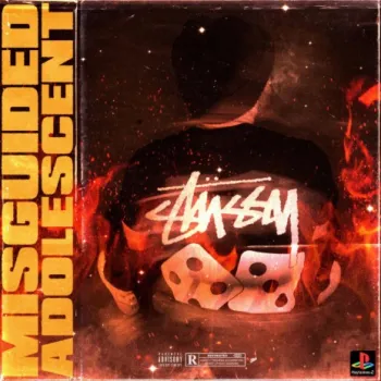 Born To Shine cover art