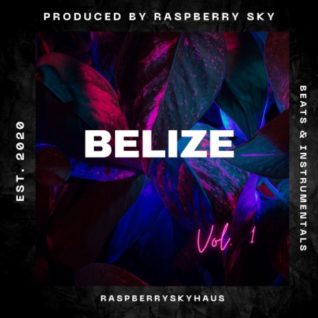 Belize (Instrumental) cover art