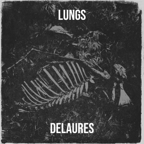 Lungs cover art