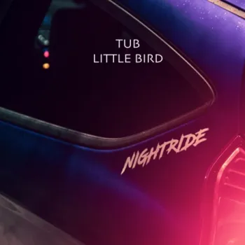 Little bird cover art