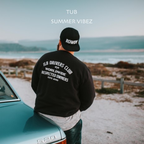 Summer Vibez cover art