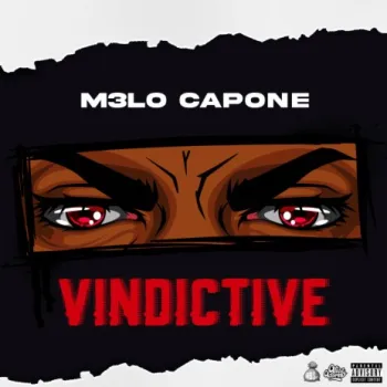 Vindictive cover art