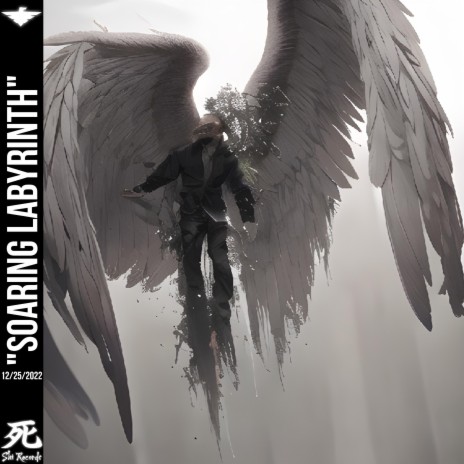 Soaring Labyrinth cover art