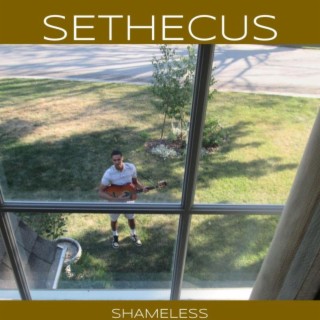 Sethecus