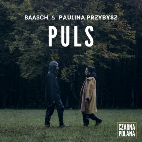 Puls ft. Paulina Przybysz cover art