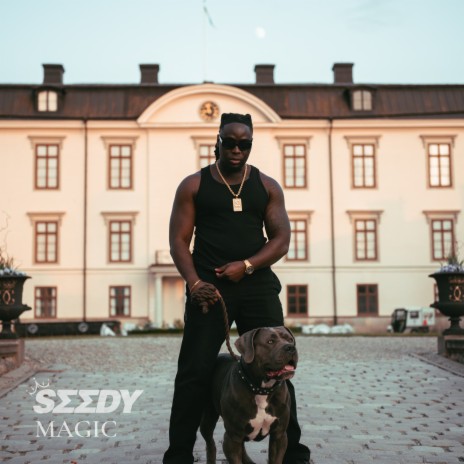 Magic ft. Kayen cover art