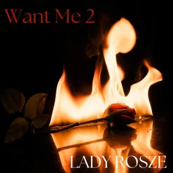 Want Me 2 cover art