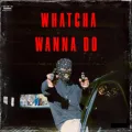 What You Wanna Do