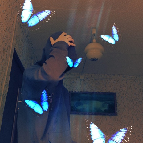 House cover art