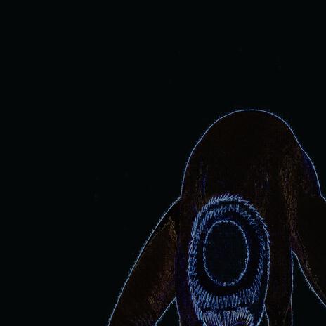 apel cover art