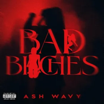 Bad Bitches cover art