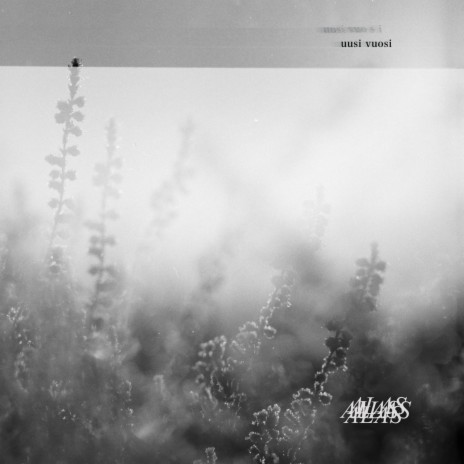 Uusi Vuosi cover art