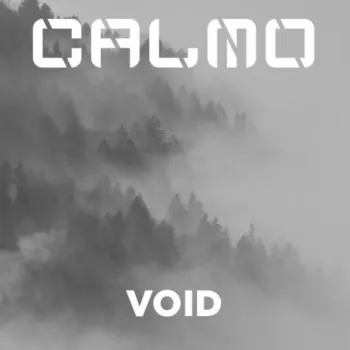 Void cover art