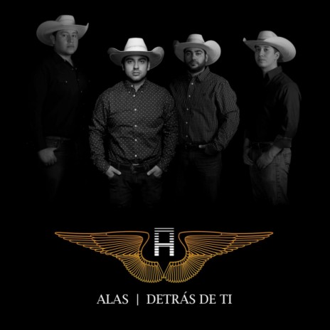 Porque Llegaste Tú cover art