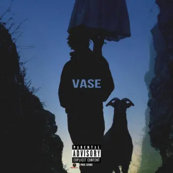 Vase cover art