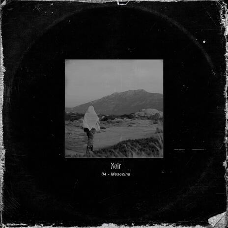 Mesecina cover art