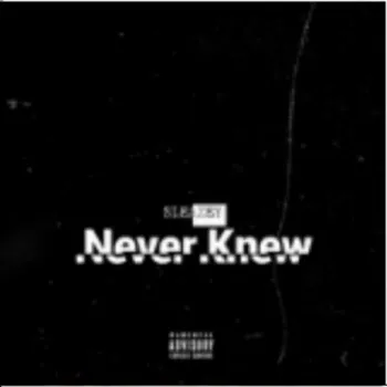 Never Knew cover art