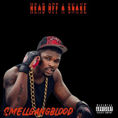 Head of a snake cover art