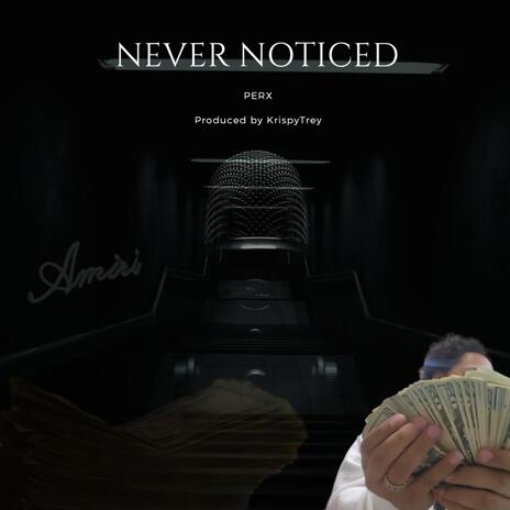 Never Noticed cover art