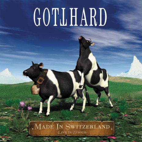 In The Name cover art