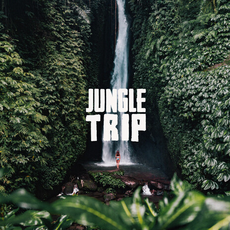 Jungle Trip ft. Padre Tóxico cover art
