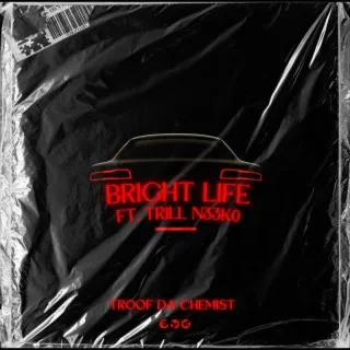 Troof Da Chemist cover art