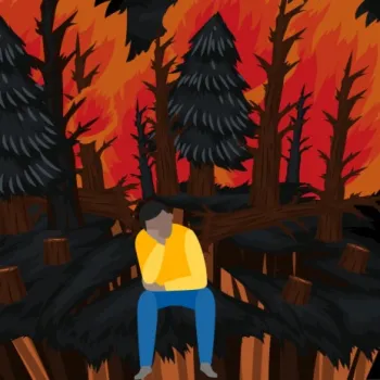 The Forest cover art
