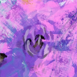 Crevlo